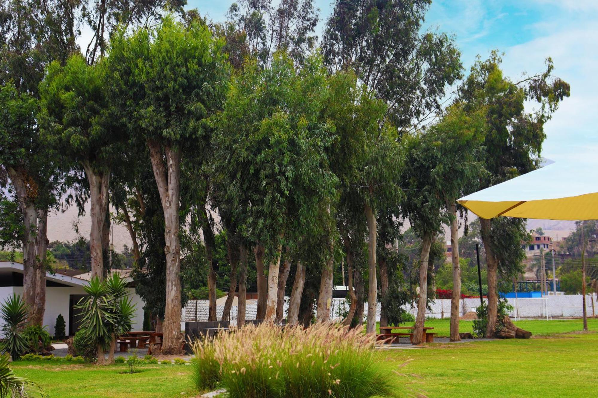 Los Andes - Restaurant & Bungalows Cieneguilla Extérieur photo