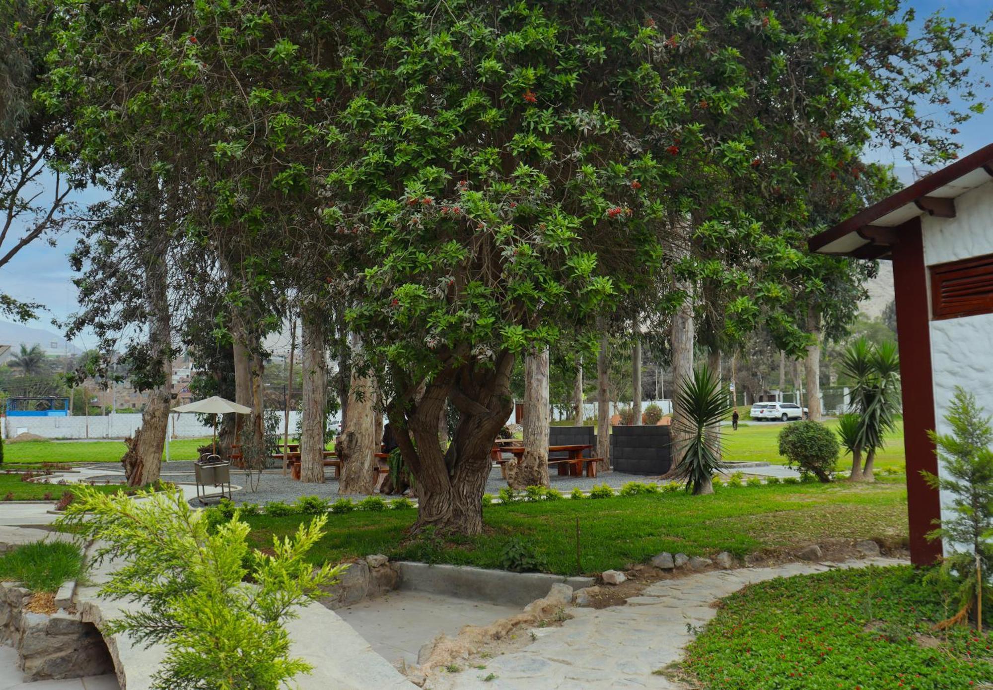 Los Andes - Restaurant & Bungalows Cieneguilla Extérieur photo